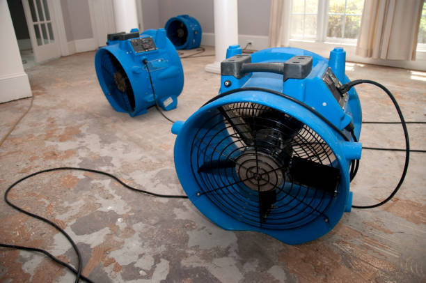 istockphoto-157485438-612x612